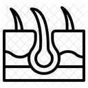 Piel  Icono