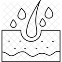 Piel seca  Icono