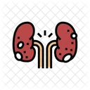 Glomerulonefritis Rinon Enfermedad Icono