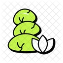 Pierres Chaudes Spa Massage Icône