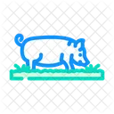 Pig Field Animal Icon