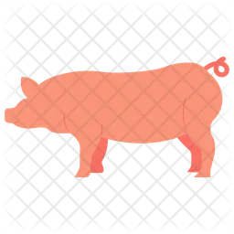 Pig  Icon