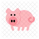 Pig Pork Sow Icon