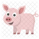 Pig Icon
