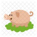 Pig Animal Icon