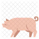 Pig Animal Agriculture Icon