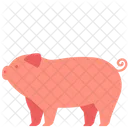 돼지  아이콘