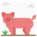 Pig Pock Farm Icon