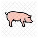 Pig Domestic Animal Icon