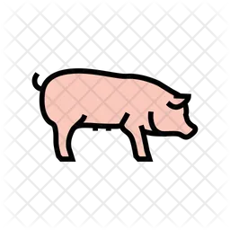 Pig  Icon