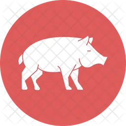 Pig  Icon