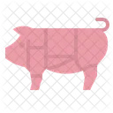 Pig Meat Butcher Icon