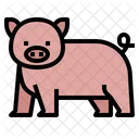 Pig Pet Kingdom Icon