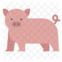 Pig Pet Kingdom Icon