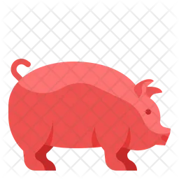 Pig  Icon