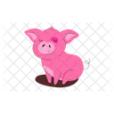 Pig  Icon