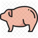 Pig Animal Pork Icon