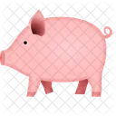 Pig Pig Icons Animal Icon