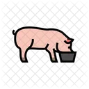 Pig Feeding Farm Icon