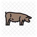 Pig Field Animal Icon