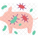 Pig Borne Virus Icon