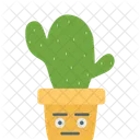 Pig Ear Cactus Succulent Plant Cactus Icon