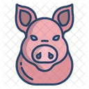 Pig Face Pig Face Icon
