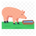 Pig Farm  Icon