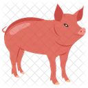 Pig Animal Cattle Icon