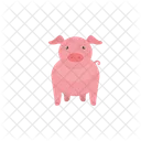 Pig Animal Piggy Icon