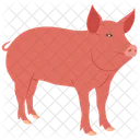 Pig Hog Boar Icon