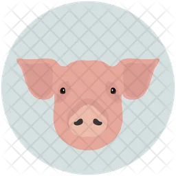 Pig  Icon