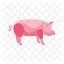 Pig  Icon