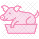 Pig In Feeding Box Pig Feeding Icon