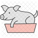 Pig In Feeding Box Pig Feeding Icon