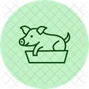 Pig In Feeding Box Pig Feeding Icon