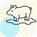 Pig In Mud Pig Mud Icon