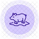 Pig In Mud Pig Mud Icon