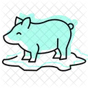 Pig In Mud Pig Mud Icon