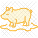Pig In Mud Pig Mud Icon