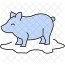 Pig In Mud Pig Mud Icon
