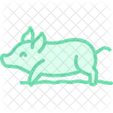 Pig Rolling In Mud Pig Rolling Icon