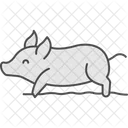 Pig Rolling In Mud Pig Rolling Icon