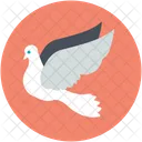 Pigeon Bird Nature Icon