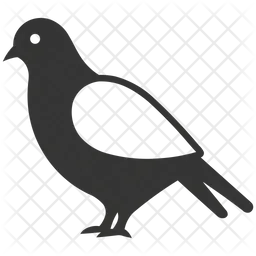 Pigeon  Icon