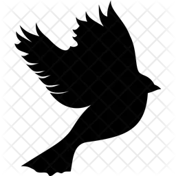 Pigeon  Icon