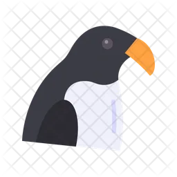 Pigeon  Icon