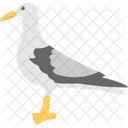 Pigeon Bird Peace Icon