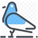 Pigeon Bird Icon