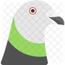 Pigeon Face Animal Icon
